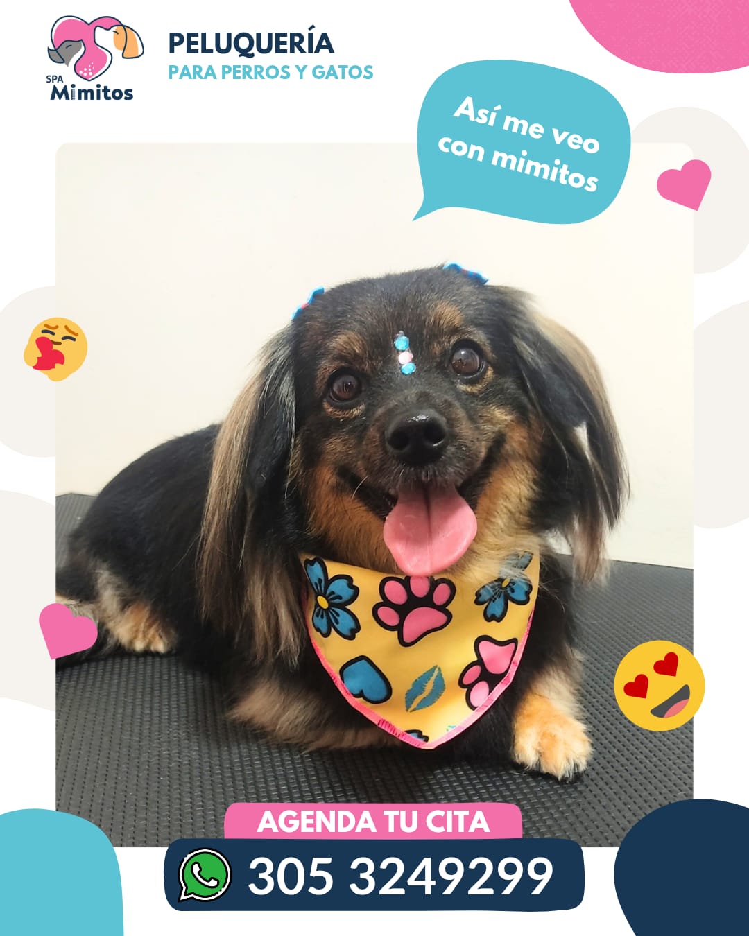 Spa Mascotas Domicilio Medellin