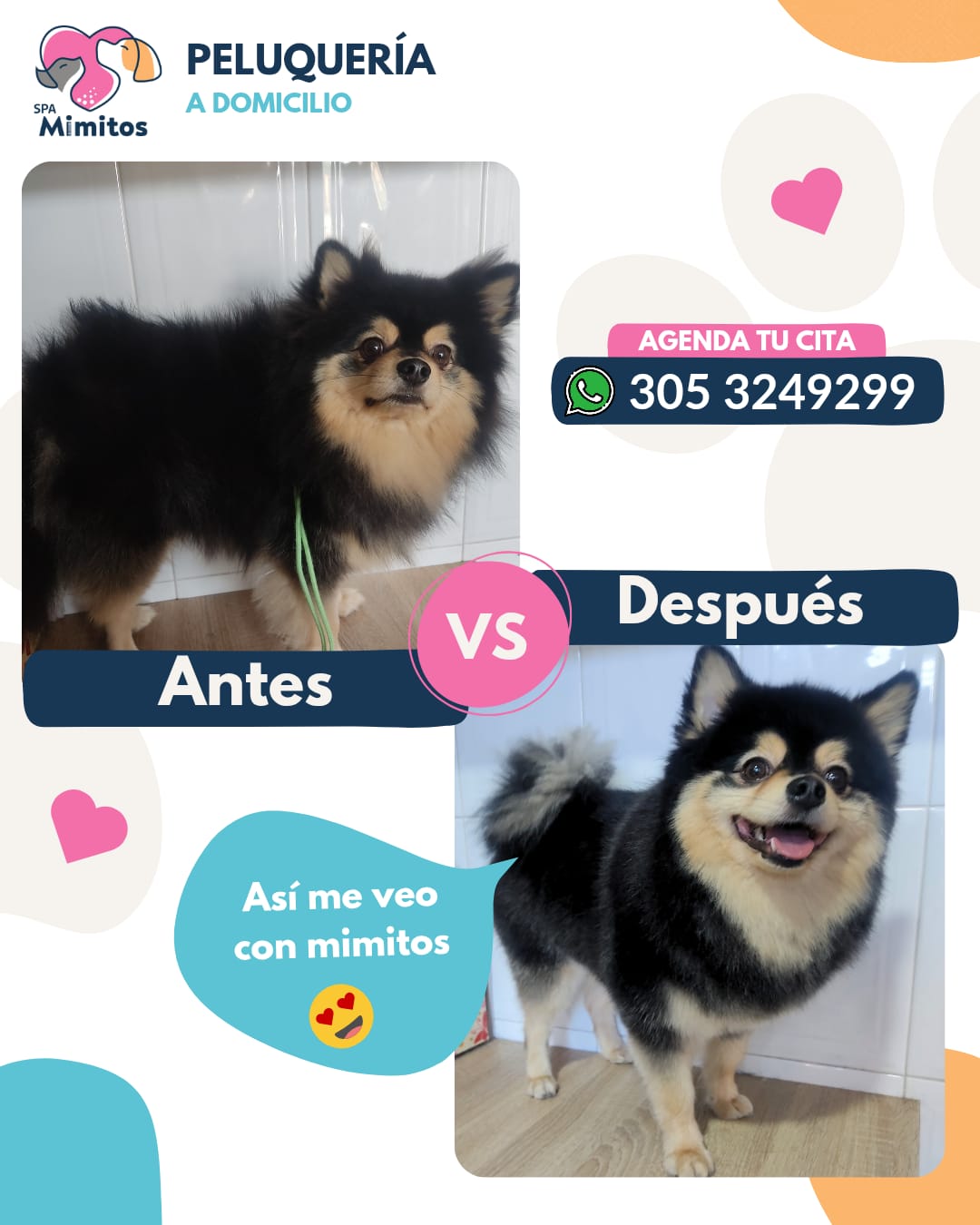 Peluquería Canina