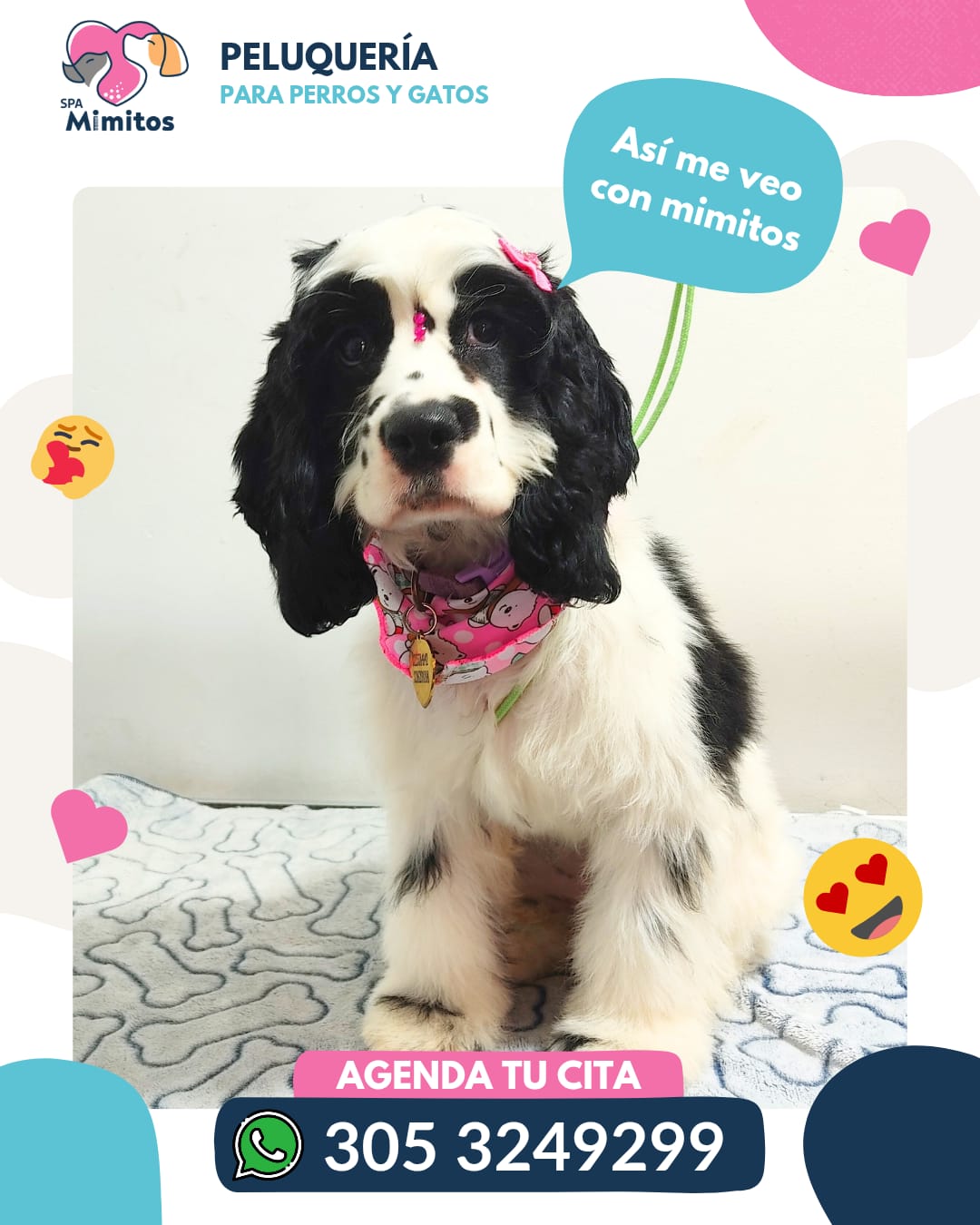 Peluquería Canina